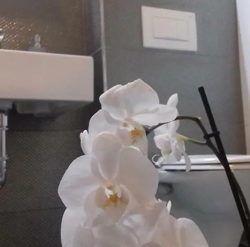 Luxury Kala 2 Appartement Poreč