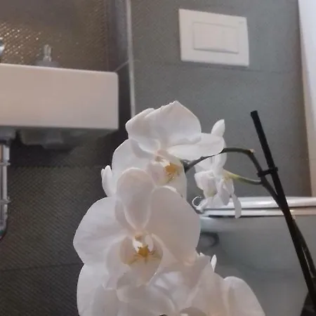 Luxury Kala 2 아파트 포레치